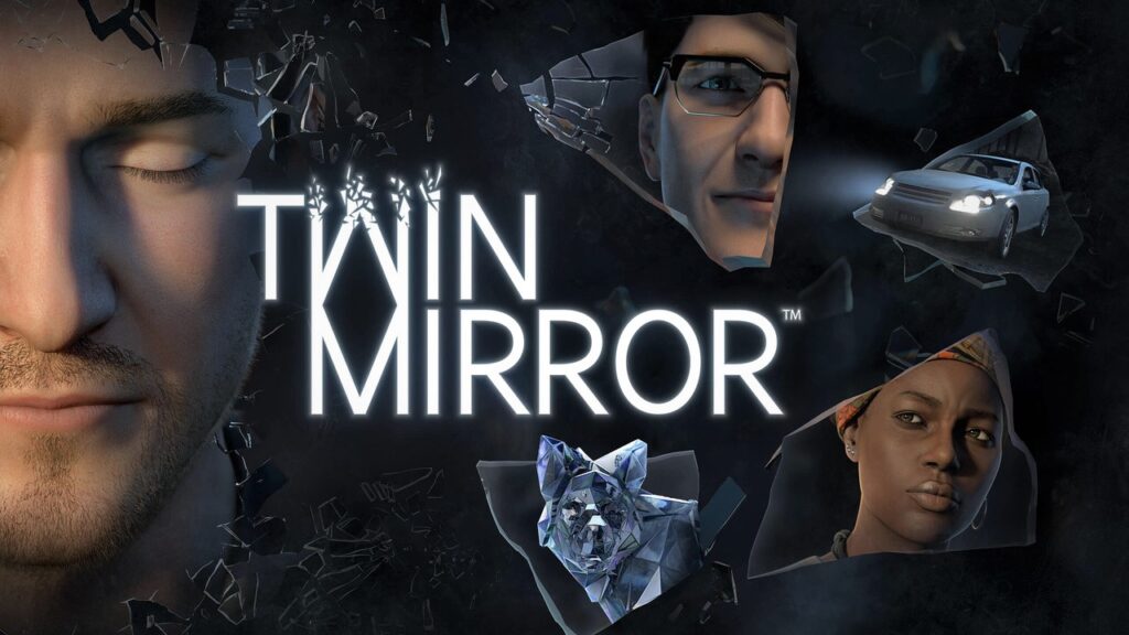 twin mirror cover